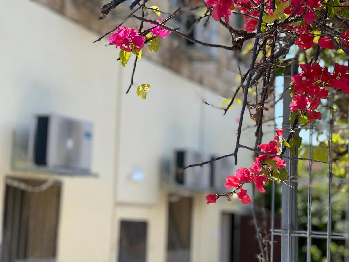 The Lion Hotel 海法 外观 照片